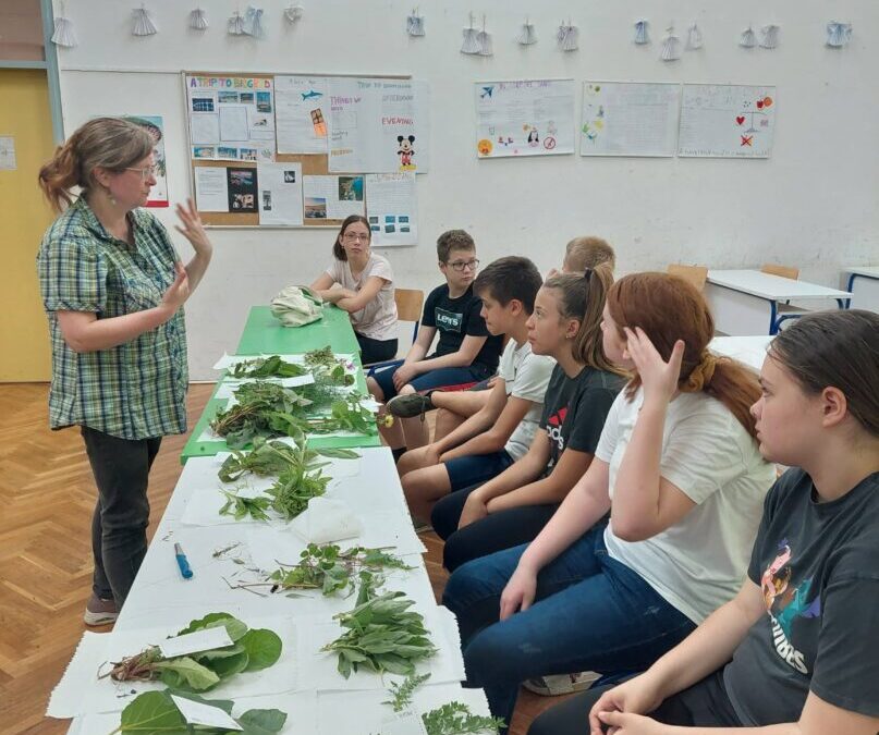 Dan škole: Samoniklo bilje