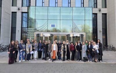 Hrvatska inicijativa za EU u školi – Hi EU